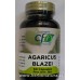 Agaricus Blazei Champiñón del Sol 60 cápsulas CFN