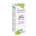 Aceite Esencial Menta Arvensis (Mentha arvensis) 10ml. ESENTIAL AROMS