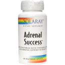 Adrenal Success Teanina, GABA, Schisandra 60 cápsulas SOLARAY en Herbonatura.es
