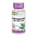 Arabinogalactanos, Arabinogalactan de Alerce 60 cápsulas vegetales SOLARAY en Herbonatura.es