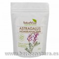 Astragalus Membranaceus Biológico Antioxidante Superalimento 250gr. SALUD VIVA