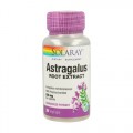Astragalus Astrágalo 30 cápsulas SOLARAY
