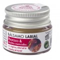 Bálsamo Labial Propóleo Árbol del Té y Karité 5gr. INTERSA