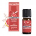 Mezcla la Difusión Bienvenida Acogedora de Aceites esenciales biológicos 10ml. PRANAROM