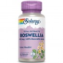 Boswellia con Harpagofito 60 cápsulas SOLARAY en Herbonatura.es