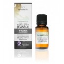 Aceite Esencial Canela China CASSIA (Cinnamonum cassia) 10ml. TERPENIC LABS en Herbonatura.es