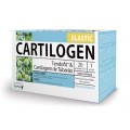 Cartilogen Elastic, Tendofit y Cartílago de tiburón, Tendones y cartílagos 20 ampollas DIETMED