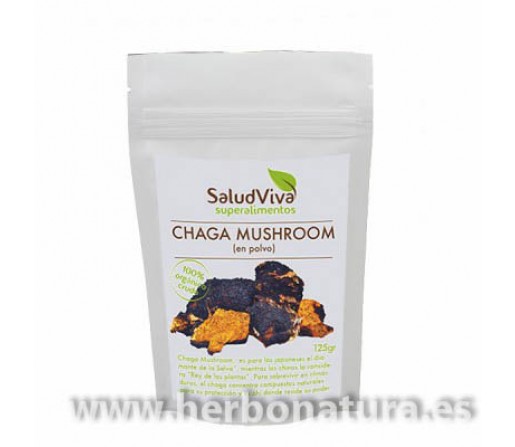 Chaga Mushroom Salvaje Siberiano Polvo Ecológico Superalimento 100gr. SALUD VIVA