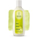 Champú Nutritivo con Mijo para Cabello Normal 190ml. WELEDA en Herbonatura.es