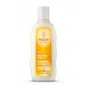 Champú Reparador con Avena para cabello seco o dañado 190ml. WELEDA en Herbonatura.es