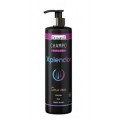 Champú Xplendor con Capilia longa, Cúrcuma, Mijo y Ginkgo 300ml. DRASANVI
