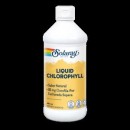 Clorofila Líquida Chlorophyll Sunny Green 480ml. SOLARAY en Herbonatura.es