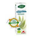 Cola de Caballo Extracto Bio Planta y Yemas Frescas Phyto-biopôle 50ml. INTERSA