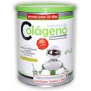 Colágeno Hidrolizado, Magnesio, Acido Hialuronico y Vitamina C 300gr. PINISAN en Herbonatura.es