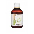Curcumin C3 Complex Liposomal, Cúrcuma Lipolife 250ml EQUISALUD