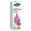 Desmodium Extracto Planta y Yemas Frescas Phyto biopole 50ml. INTERSA