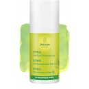 Desodorante Roll-On Citrus sin aluminio 50ml. WELEDA en Herbonatura.es