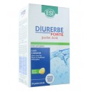 Diurerbe Forte Abedul, Té Verde, Ortosifón, Vellosilla sabor Limón 24 sobres ESI en Herbonatura.es