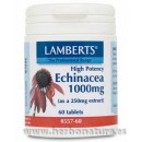 Echinacea Equinácea Alta Potencia 1000mg. 60 comprimidos LAMBERTS en Herbonatura.es