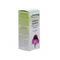 Echinacea purpurea Biológica Extracto Equinácea Resistencia 100ml. BIOVER