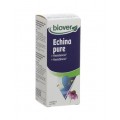 Echinapure. Biológico Extracto Equinácea Jugo y Raiz  Echinacea purpurea. 100ml. BIOVER