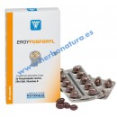 Ergyfosforyl Fosfolípidos Marinos Omega 3 y Cofactores Vitamínicos 60 perlas NUTERGIA en Herbonatura.es