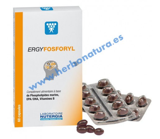 Ergyfosforyl Fosfolípidos Marinos Omega 3 y Cofactores Vitamínicos 60 perlas NUTERGIA
