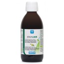Ergylixir Depurativo Alcachofa, Rábano negro, Romero, Bardana 250ml NUTERGIA en Herbonatura.es
