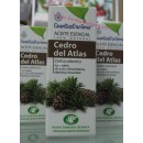Aceite Esencial Cedro del Atlas (Cedrus atlantica) 10ml. ESENTIAL AROMS en Herbonatura.es
