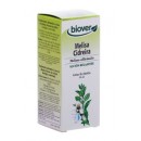 Melisa Cidreira Extracto, (Melissa officinalis) Relajante 50ml. BIOVER en Herbonatura.es