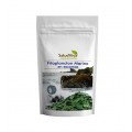 Fitoplancton Marino en escamas Plancton vegano Superalimento 50gr. SALUD VIVA