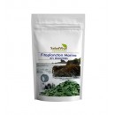 Fitoplancton Marino en escamas Plancton vegano Superalimento 50gr. SALUD VIVA en Herbonatura.es