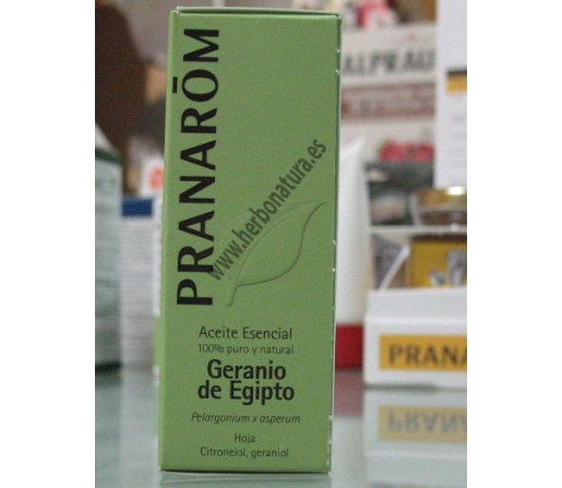 Aceite Esencial Geranio de Egipto Hoja (Pelargonium x asperum) 10ml. PRANAROM