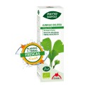 Ginkgo Biloba Extracto Bio Planta Fresca Phyto-biopôle 50ml INTERSA Memoria y Cognición