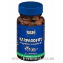 Harpagofito (Harpagophytum procumbens D.C.) 60 comprimidos GSN en Herbonatura.es