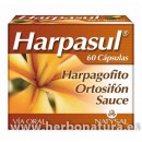 Harpasul harpagofito, ortosifon y sauce 60 cápsulas NATYSAL en Herbonatura.es