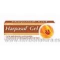 Harpasul Gel con Silicio Orgánico 75ml. NATYSAL