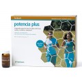 Potencia Plus Herbovit, Jalea real fresca, Taurina, Carnitina... 20 viales HERBORA