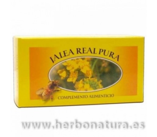 Jalea Real Pura Fresca 40gr. PLANTAPOL
