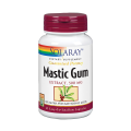 45 Cápsulas Mastic Gum - Lentisco Pistacia Lentiscus - Antimicrobiano Gástrico