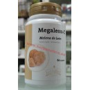 Megaleon C Melena de León (Hericium erinaceus) con Acerola 60 cápsulas JELLYBELL en Herbonatura.es