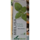 Melisa Extracto, tintura natural 50ml. SORIA NATURAL en Herbonatura.es