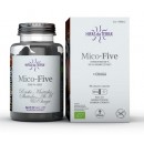 Mico-Five con Chaga Ecológico (Reishi, Maitake, Champiñon del sol, Shiitake...) 70 cápsulas HIFAS DA TERRA en Herbonatura.es