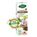 Mix Gastro 15 Bio Planta y Yemas Frescas Extracto Phyto-biopôle 50ml. INTERSA en Herbonatura.es