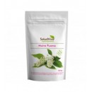 Muira Puama, Astenia y Vigor Sexual 125gr. SALUD VIVA en Herbonatura.es