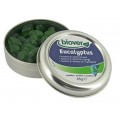 Pastillas masticables de Eucalyptus 45gr. BIOVER