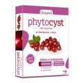 Phytocyst Arándano Rojo 120mg PAC, 30 comprimidos DRASANVI
