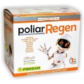 Poliar Regen (Colágeno, Cartílago, Coral, Harpagofito, Enzimas...) 30 sobres PINISAN
