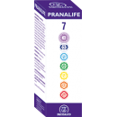 Pranalife 7 Armonizador del Chacra 7. 50ml. EQUISALUD en Herbonatura.es