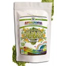 Proteina de Calabaza en Polvo Ecológico 250gr. SUPERALIMENTOS en Herbonatura.es